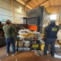 Entorpecentes foram apreendidos em operações de combate ao tráfico na região de fronteira - Foto: Divulgação/PCMS