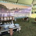 Crianças poderão participar de oficinas na Feira do Bosque da Paz - Foto: Divulgação/Famasul