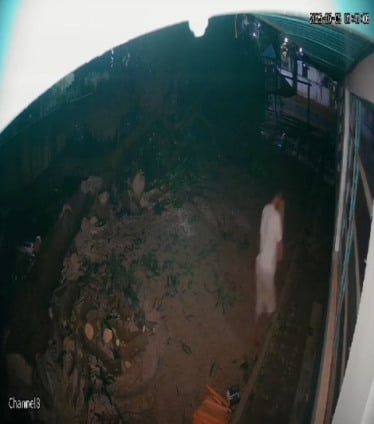 Suspeito de 29 anos foi identificado por câmeras de segurança e indiciado por furto qualificado - Foto: Divulgação/Polícia Civil de MS