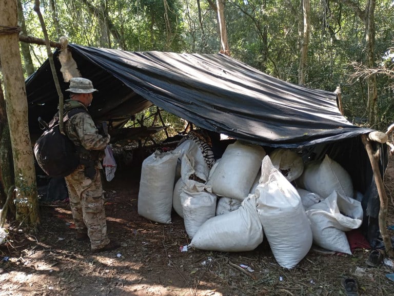 Ação conjunta atingiu recorde de entorpecentes erradicados - Foto: Divulgação/PF Ação conjunta atingiu recorde de entorpecentes erradicados - Foto: Divulgação/PF