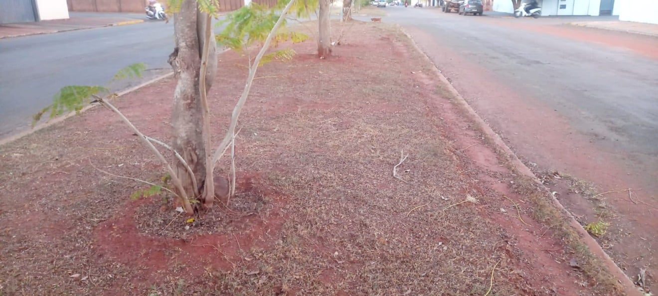 Canteiro de avenida mostra vegetação seca e vulnerável: risco de queimadas aumenta em Paranaíba com a umidade do ar em níveis de alerta 