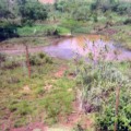 Área desmatada às margens do Córrego das Lavadeiras em Deodápolis