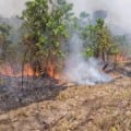 Seca e queimadas colocam cidade em alerta neste período