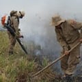 Chuvas bem distribuídas e baixas temperaturas ajudaram a conter avanço do fogo - Foto: Divulgação/Semadesc
