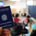 São vagas para diferentes níveis de experiência - Foto: Arquivo RCN67