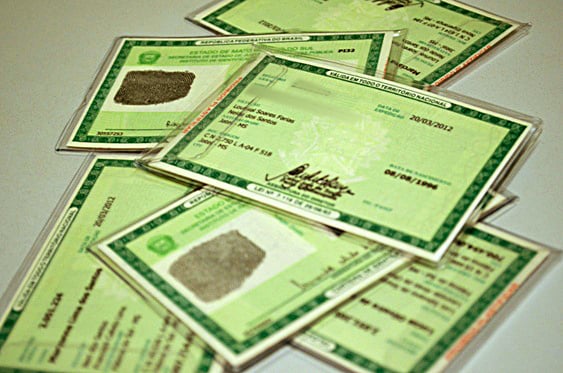 Nova CIN substitui o antigo RG e adota o CPF como número único de identificação - Foto: Reprodução/ Governo de MS