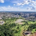 Falta de revisão do Plano de Arborização compromete qualidade de vida em Campo Grande