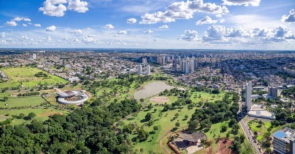 Falta de revisão do Plano de Arborização compromete qualidade de vida em Campo Grande