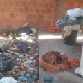 Homem é preso por maus-tratos a um cachorro no bairro Santa Luzia