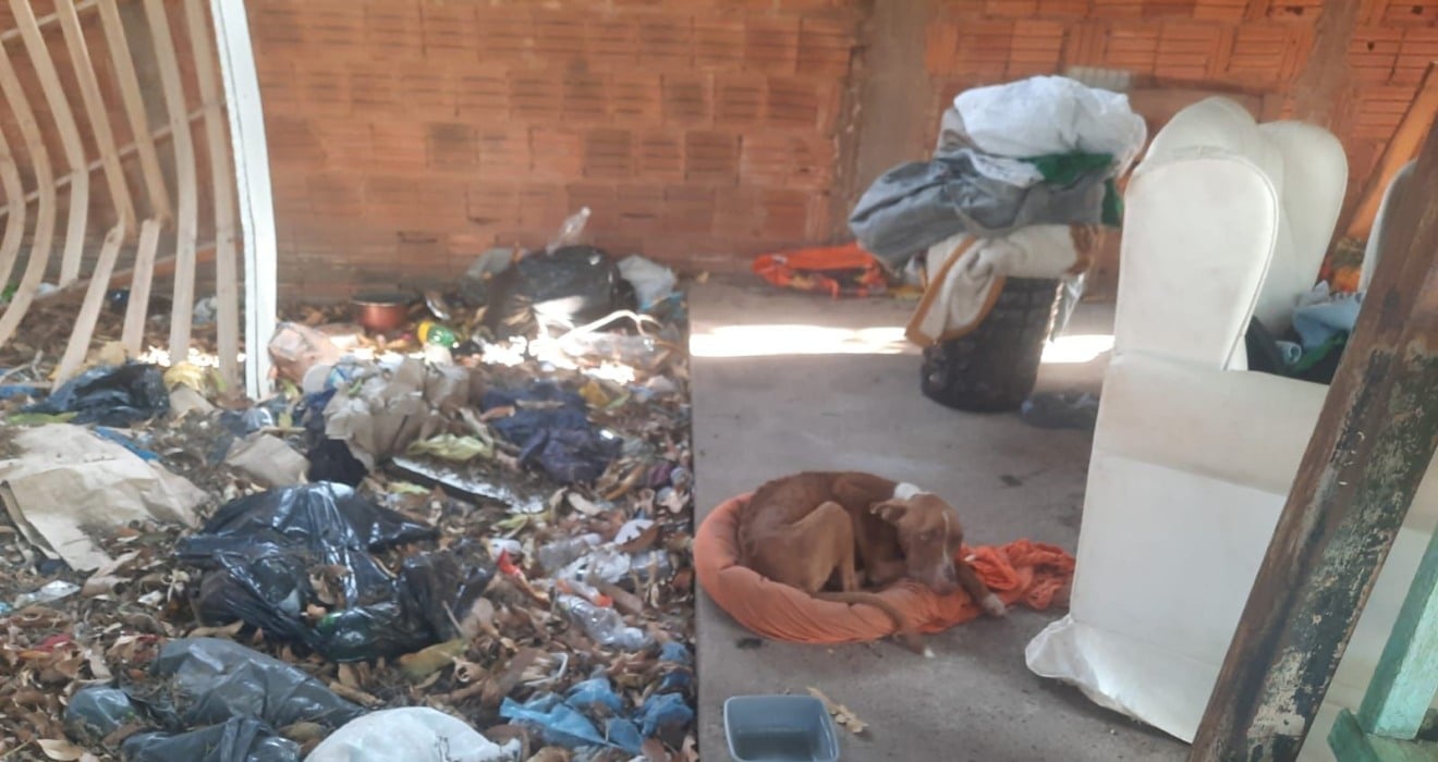 A operação também revelou que, em ocasiões anteriores, equipes da prefeitura já haviam tentado vistoriar a residência, mas foram impedidas pelo morador, que chegou a ameaçar servidores públicos. Foto: Reprodução/TVC HD.