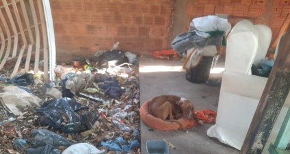 Homem é preso por maus-tratos a um cachorro no bairro Santa Luzia