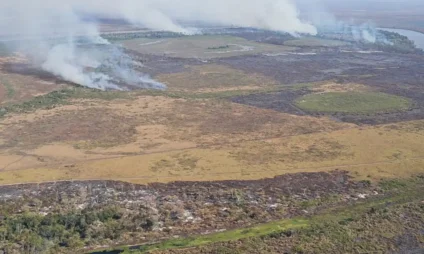 Incêndio no Pantanal em 2024 - Foto: Polícia Federal/MS