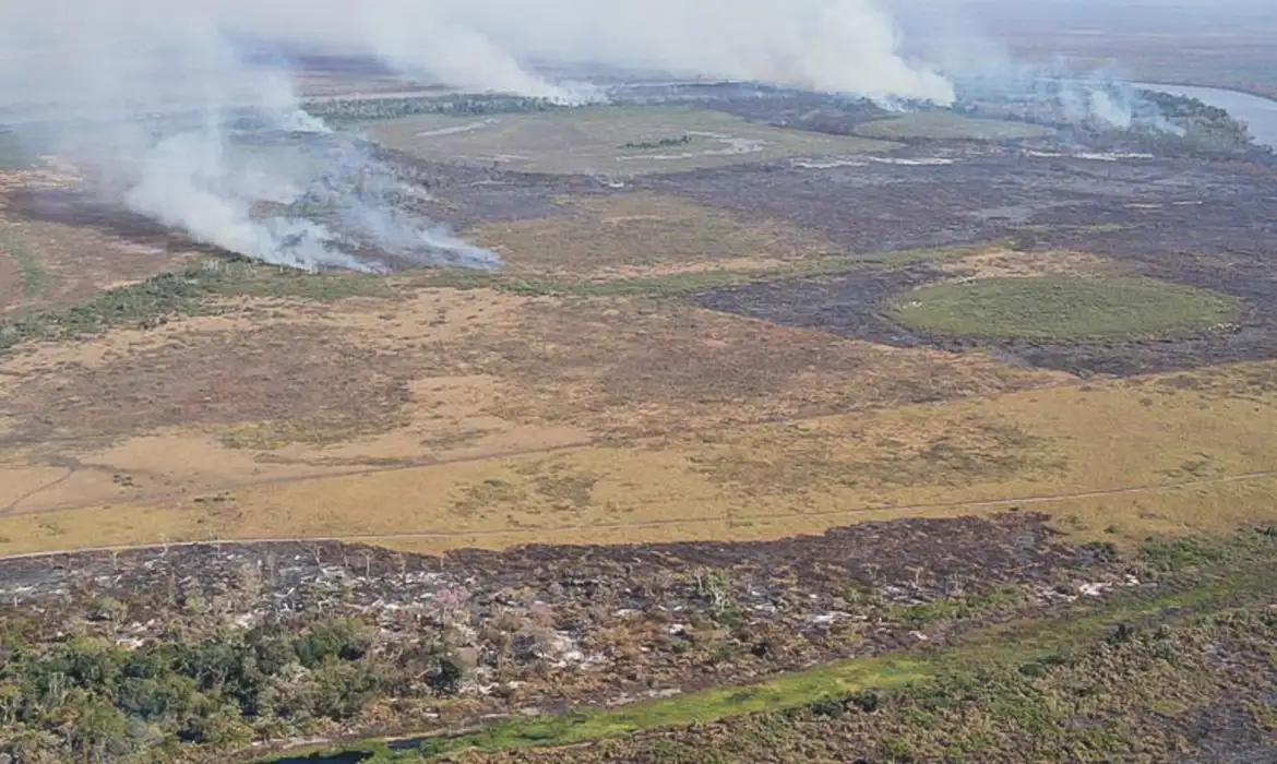 Incêndio no Pantanal em 2024 - Foto: Polícia Federal/MS