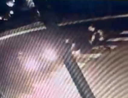 Vítimas atravessavam a faixa de pedestres Foto: Reprodução 