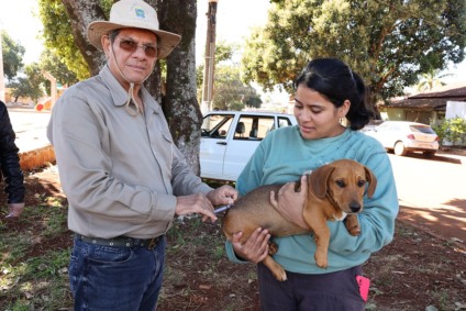 A imunização é destinada a cães e gatos a partir de 3 meses de idade.  A vacinação é gratuita e deve ser realizada anualmente. (Fotos: A. Frota)