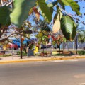 Dias ensolarados, mas de temperaturas amenas. Praça do Lions Clube  Paranaíba - Foto: Leonardo Guimarães 