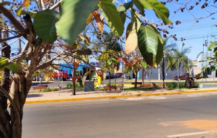 Dias ensolarados, mas de temperaturas amenas. Praça do Lions Clube  Paranaíba - Foto: Leonardo Guimarães 