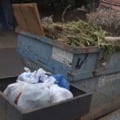 TVC na Rua: Caçamba para entulho vira descarte de lixo e animais mortos no Jardim Dourados