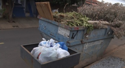 TVC na Rua: Caçamba para entulho vira descarte de lixo e animais mortos no Jardim Dourados