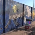 Icas promove feira ‘Cores do Cerrado’ em Três Lagoas