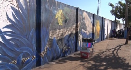 Icas promove feira ‘Cores do Cerrado’ em Três Lagoas