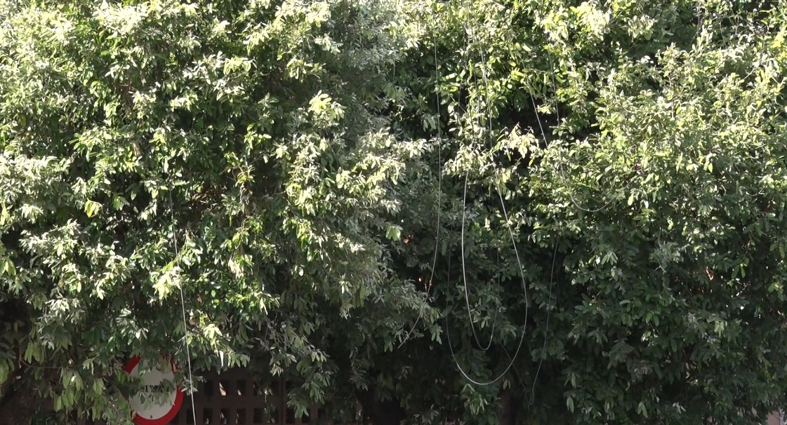 O cruzamento, já conhecido por registrar colisões de trânsito, teve a sinalização reforçada por agentes municipais até a chegada da equipe da Neoenergia Elektro. Foto: Reprodução/TVC HD.