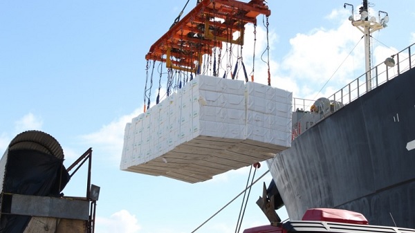 Celulose é o carro- chefe das exportações em Mato Grosso do Sul  nos sete meses deste ano. Foto: Arquivo/Divulgação. 