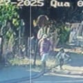 Operação do GOI localizou suspeito na região do Inferninho, em Campo Grande