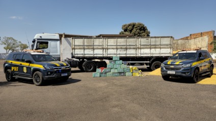 PRF apreende mais de 450 kg de drogas escondidas em carga de milho em Três Lagoas PRF apreende mais de 450 kg de drogas escondidas em carga de milho em Três Lagoas
