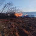 Infrações ocorreram em Paranaíba e Sonora - Foto: Divulgação/PMA