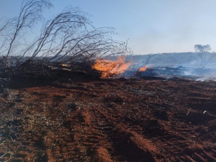 Infrações ocorreram em Paranaíba e Sonora - Foto: Divulgação/PMA