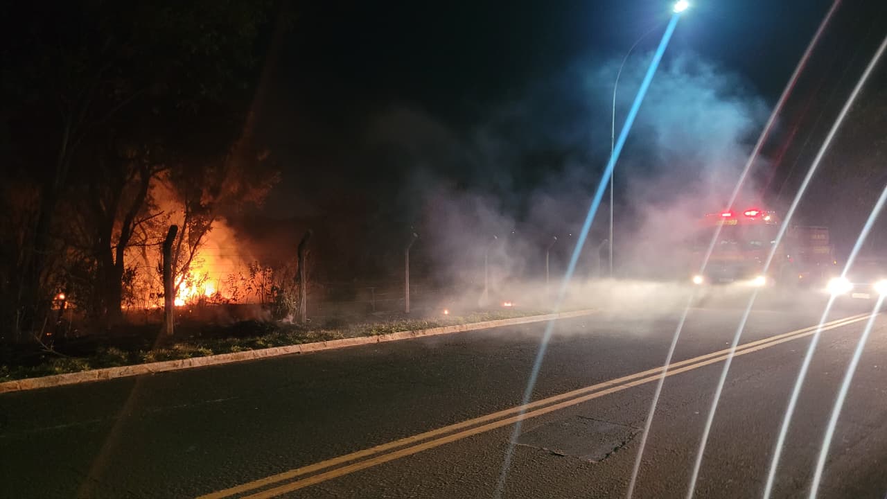 Incêndio começou em uma árvore - Foto: Rodrigo Moreira/ RCN67