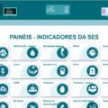 Portal conta com 23 ícones de acesso à informações (Foto: Captura de Tela)