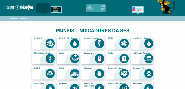 Portal conta com 23 ícones de acesso à informações (Foto: Captura de Tela)