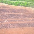Ao todo, foram queimados 32 hectares em uma área rural de Paraíso das Águas (Foto: Reprodução/PMA)