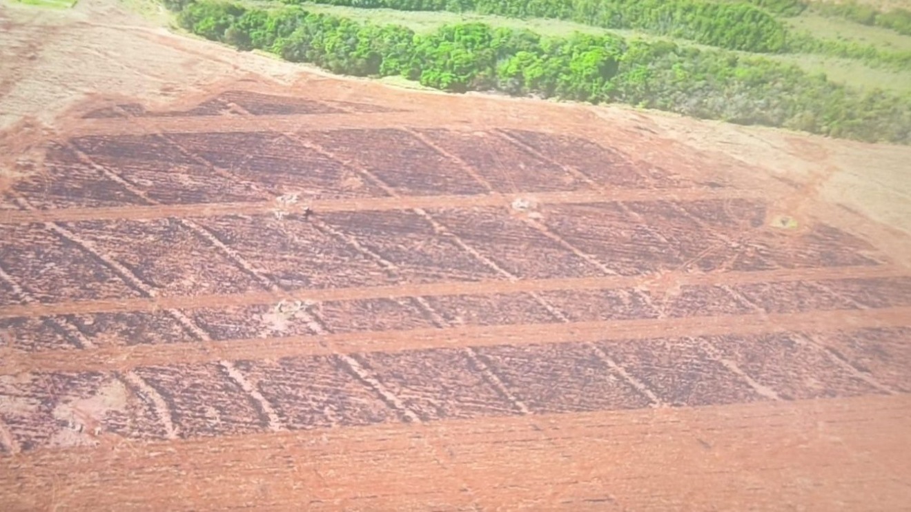 Ao todo, foram queimados 32 hectares em uma área rural de Paraíso das Águas (Foto: Reprodução/PMA)