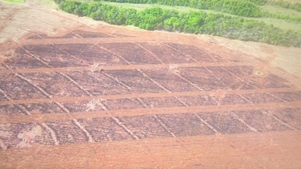 Ao todo, foram queimados 32 hectares em uma área rural de Paraíso das Águas (Foto: Reprodução/PMA)
