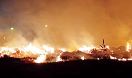 Em 2024, diversas regiões da zona rural de Paranaíba foram destruídas pelo fogo - Foto/Arquivo RCN67