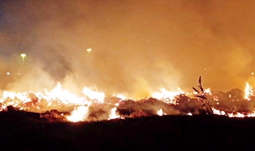 Em 2024, diversas regiões da zona rural de Paranaíba foram destruídas pelo fogo - Foto/Arquivo RCN67