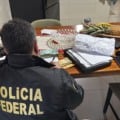 Policial federal em diligência durante a Operação Rastro Cirúrgico (Foto: PF)
