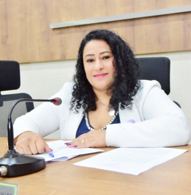 A iniciativa tem a missão de propor, acompanhar e fiscalizar ações que assegurem mais direitos, proteção e dignidade para as mulheres da cidade