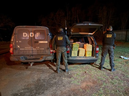 Apreensão foi avaliada em R$ 600 mil / Foto: DOF/Reprodução