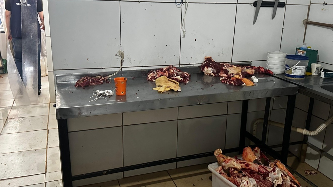 Fiscalização encontrou carnes sendo armazenadas de forma irregular - Foto: Divulgação/Polícia Civil de MS