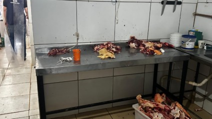 Fiscalização encontrou carnes sendo armazenadas de forma irregular - Foto: Divulgação/Polícia Civil de MS