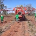 Falta de mão de obra e infraestruturadesafiam expansão do setor florestal em MS
