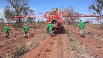 Falta de mão de obra e infraestruturadesafiam expansão do setor florestal em MS
