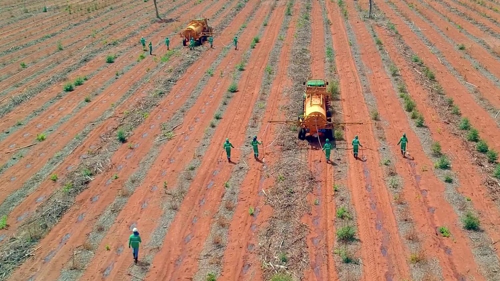 Mesmo com avanços na mecanização ainda faltam operadores capacitados - Foto: Divulgação.