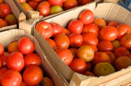 Tomate registrou o valor de R$ 110 a caixa de 25 kg - Foto: Repodução/ Ceasa-MS