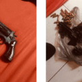 Polícia Civil prende dois suspeitos do PCC em Chapadão do Sul em operação contra planos de execução.