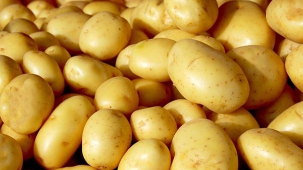 Batata registrou a maior redução no período, 28,52% (Foto: Reprodução/ Ceagesp) 